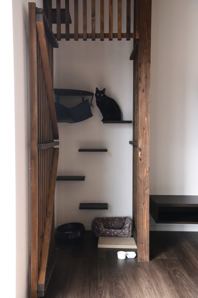 猫の部屋