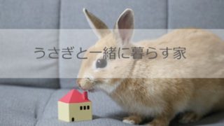うさぎと一緒に暮らす家　室内環境編