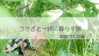 うさぎと一緒に暮らす家　お庭づくり編
