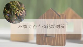 花粉シーズンに向けて知っておきたい お家でできる花粉対策