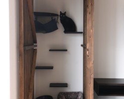 猫の部屋